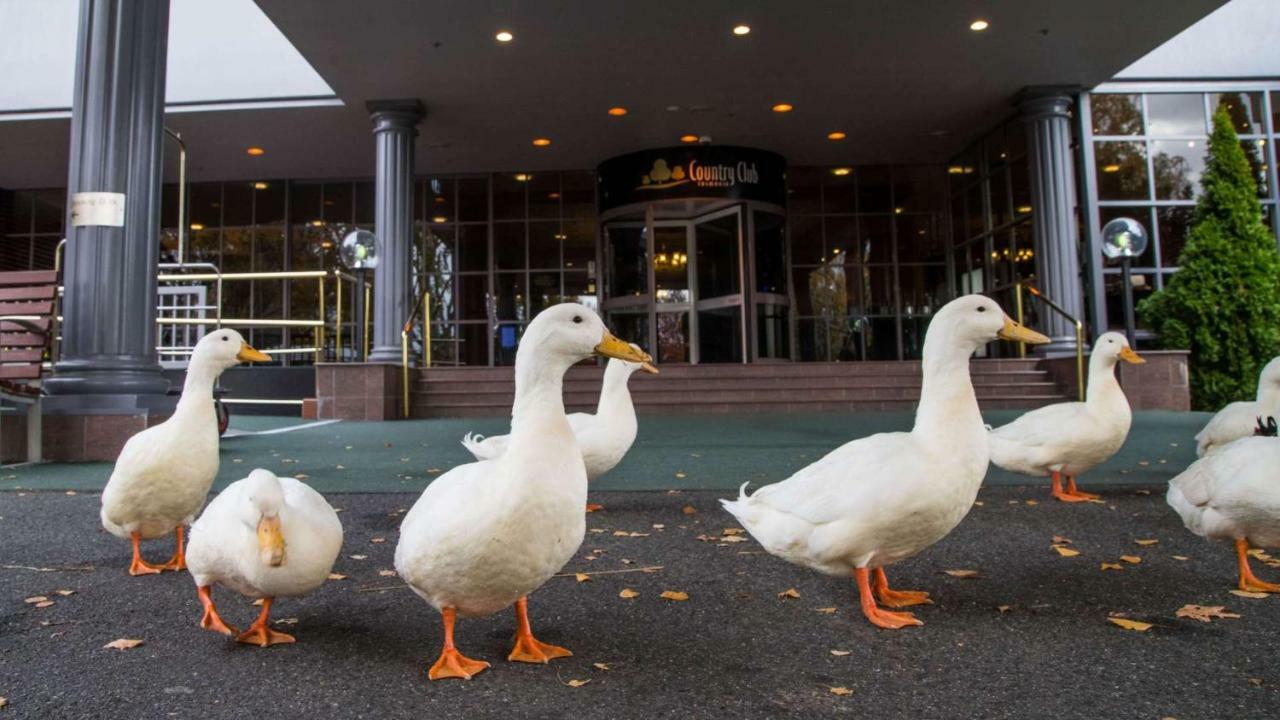 Country Club Tasmania Hotel Launceston Exterior foto